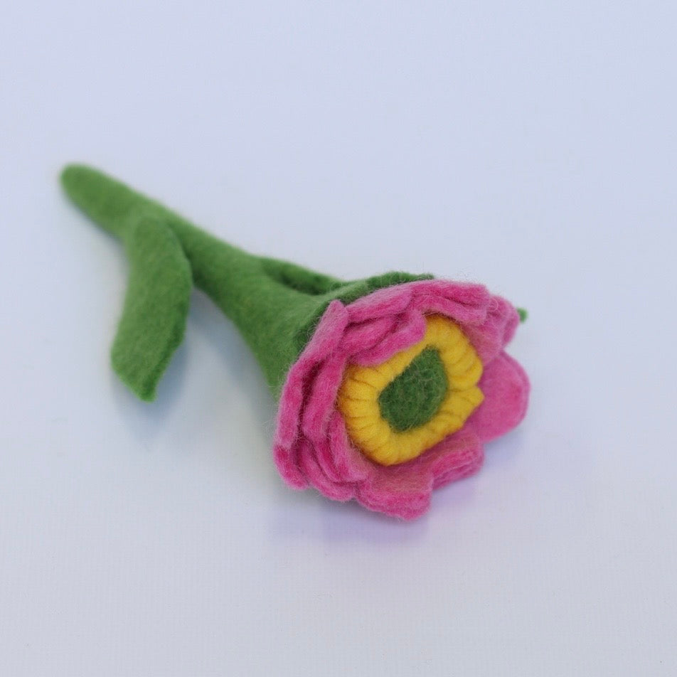 Blush Cottage Roses singles and sets