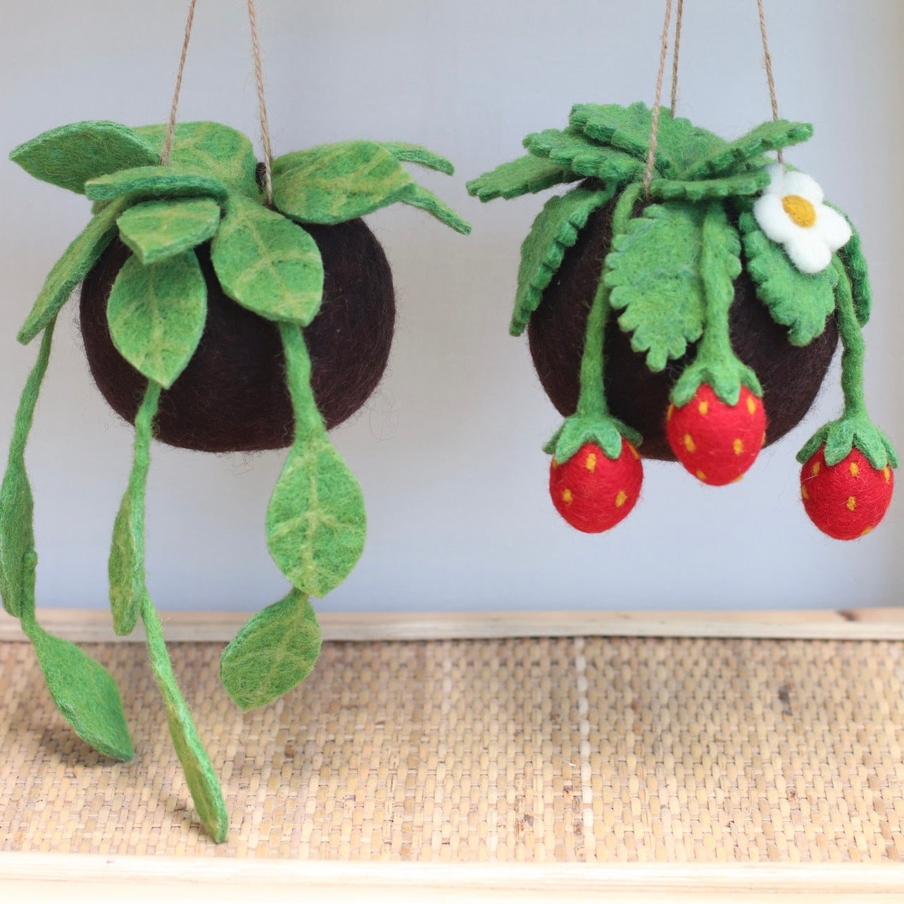 Felt Ivy Kokedama - Hanging plant