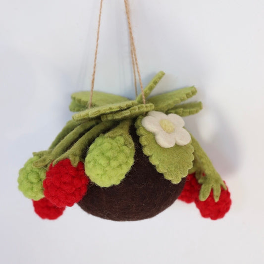 PRE ORDER Raspberry felt Kokedama - hanging plant