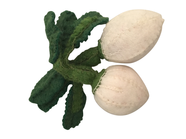 White turnips - 2 pce