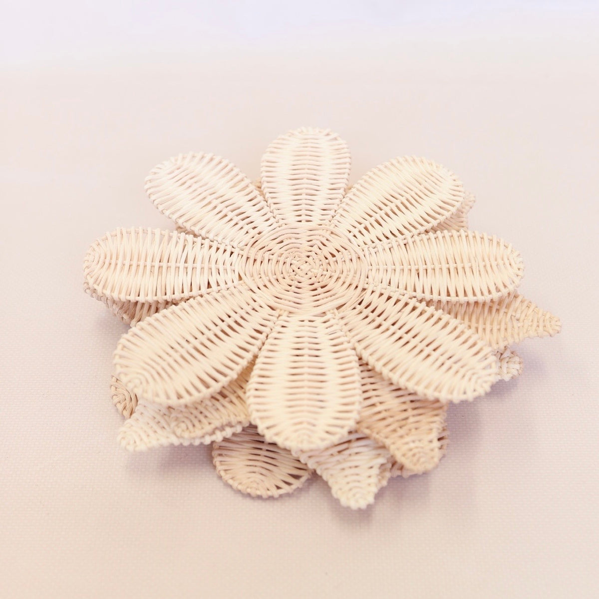 SECONDS WILDFLOWERS 🌼 SET OF 5