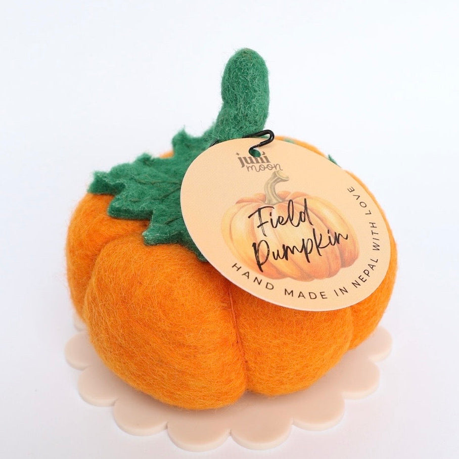 Juni Moon field pumpkin