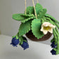 PRE ORDER Blueberry felt Kokedama - hanging plant