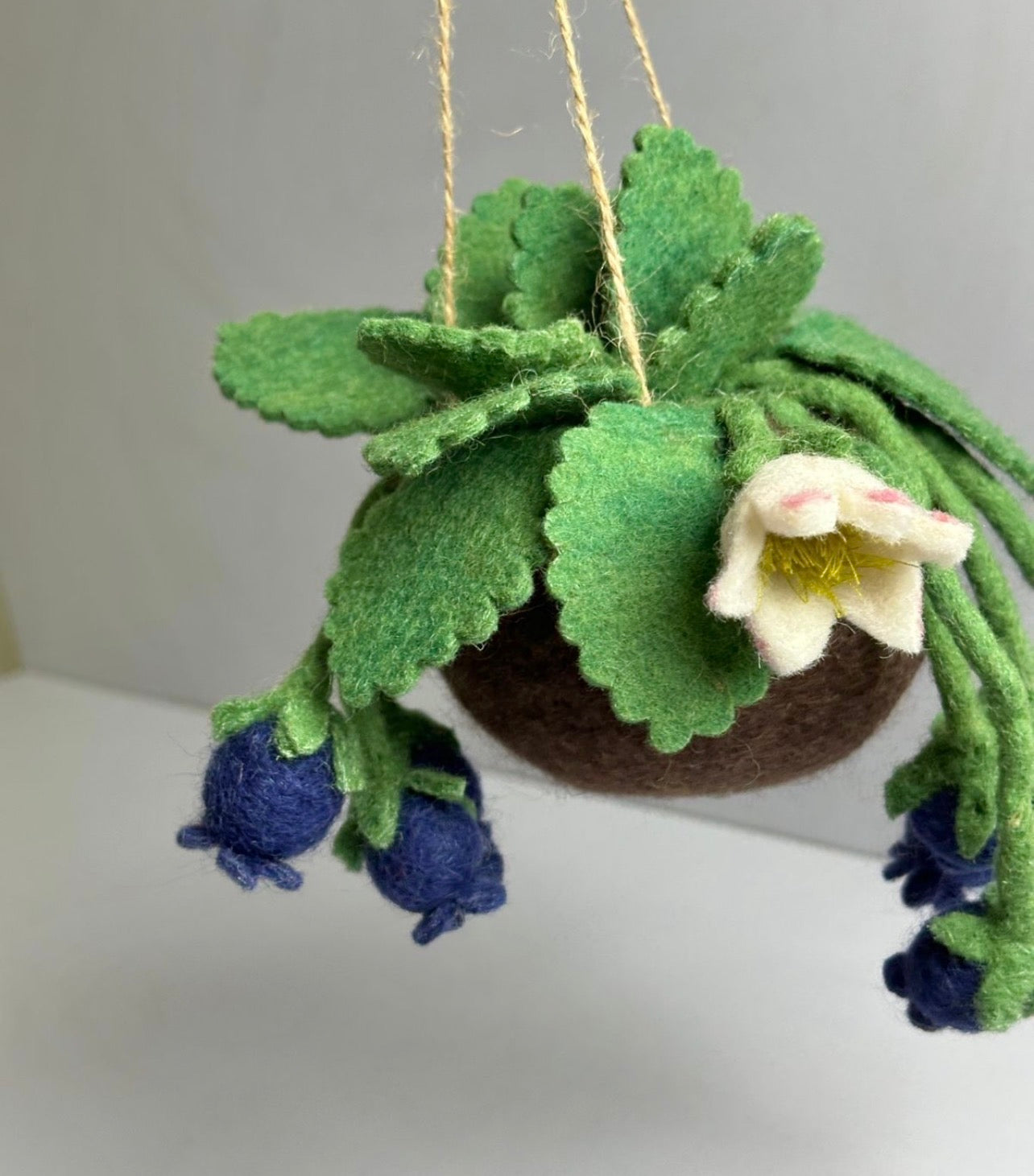 PRE ORDER Blueberry felt Kokedama - hanging plant