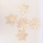 SECONDS WILDFLOWERS 🌼 SET OF 5