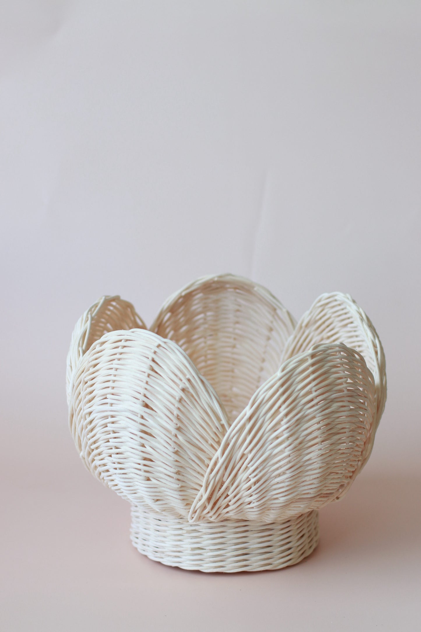ON SALE Large Clam vintage style basket