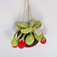 Raspberry felt Kokedama - hanging plant