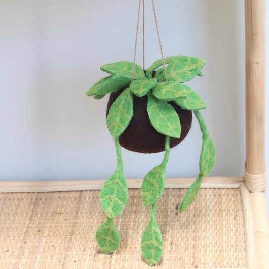 Felt Ivy Kokedama - Hanging plant