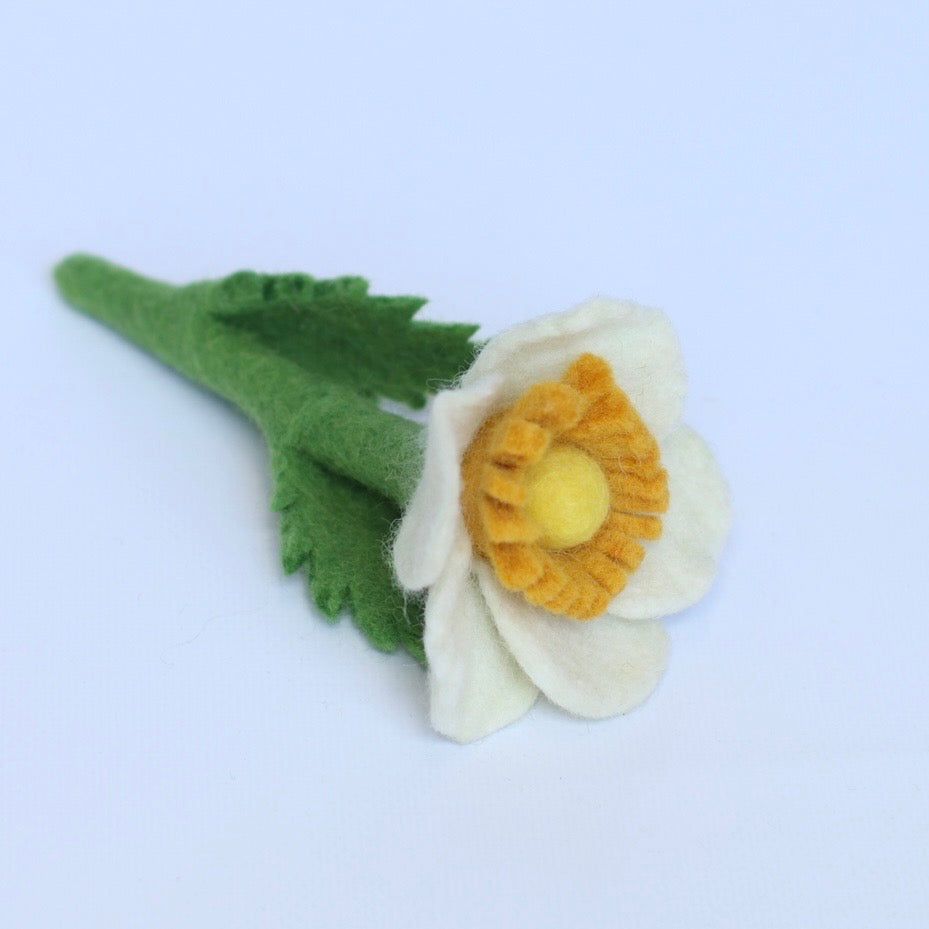 Milk & Honey bloom singles and sets