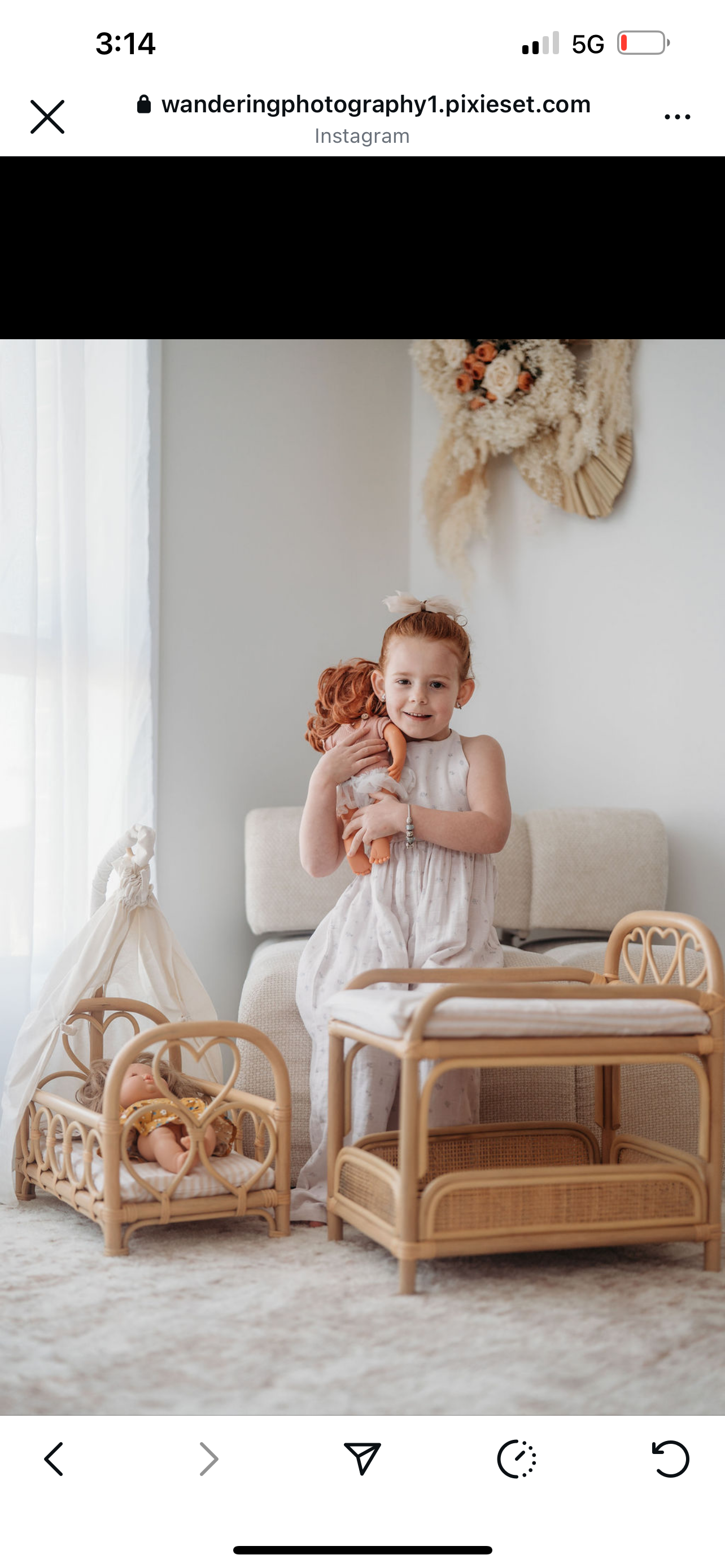 Heartstrings dolls canopy cot with mattress and canopy