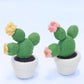 Felt cactus in pot- 2 styles