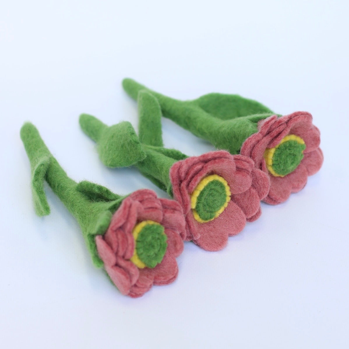 Dusty pink meadowcup flower and sets