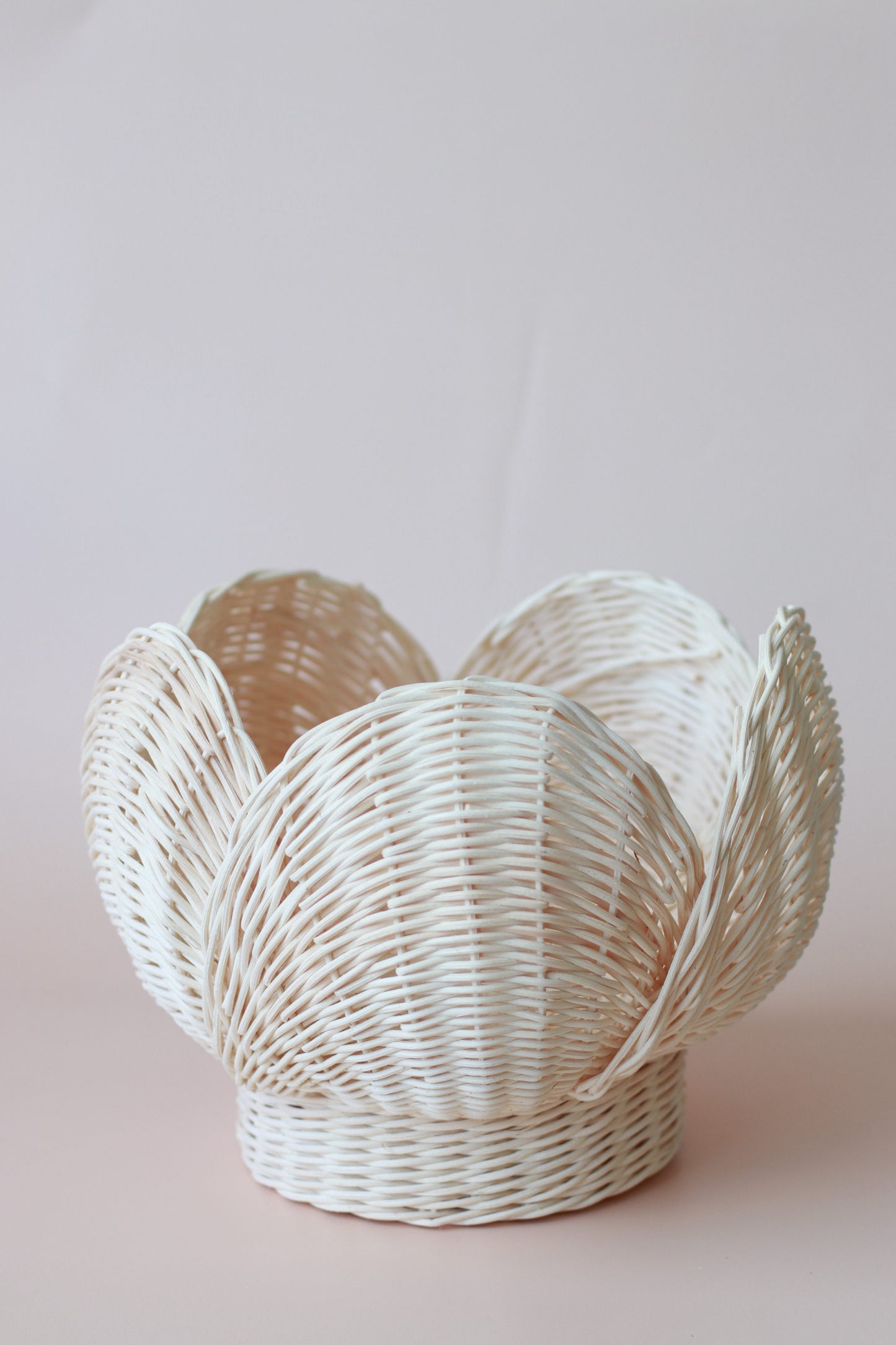 ON SALE Large Clam vintage style basket