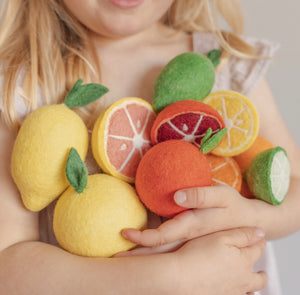 Zesty felt fruit bundle - 10 pce citrus pack