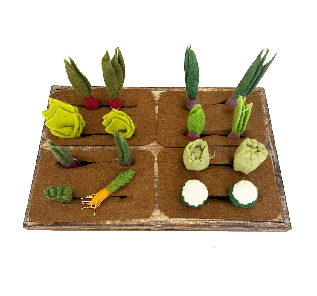 ON SALE Papoose toys Grow a garden set