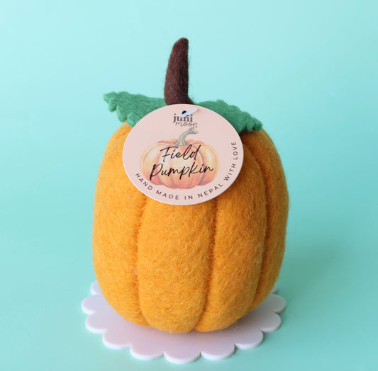 Juni Moon Jolly Jack large Field Pumpkin