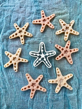 Load image into Gallery viewer, Starfish bio cutter