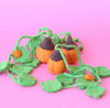 ON SALE Pumpkins on the vine 3 pack