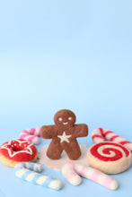 Load image into Gallery viewer, Mr Spicy - The gingerbread kid