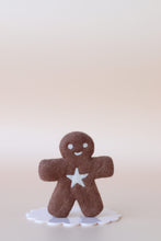 Load image into Gallery viewer, Mr Spicy - The gingerbread kid