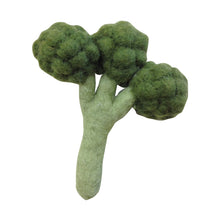 Load image into Gallery viewer, Papoose Broccoli florette - 1 pce