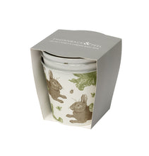 Load image into Gallery viewer, Thornback &amp; Peel Rabbit &amp; Cabbage plant pots set of 3