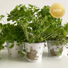 Load image into Gallery viewer, Thornback &amp; Peel Rabbit &amp; Cabbage plant pots set of 3