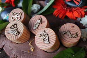 Butterfly Lifecycle Playdough Stamps