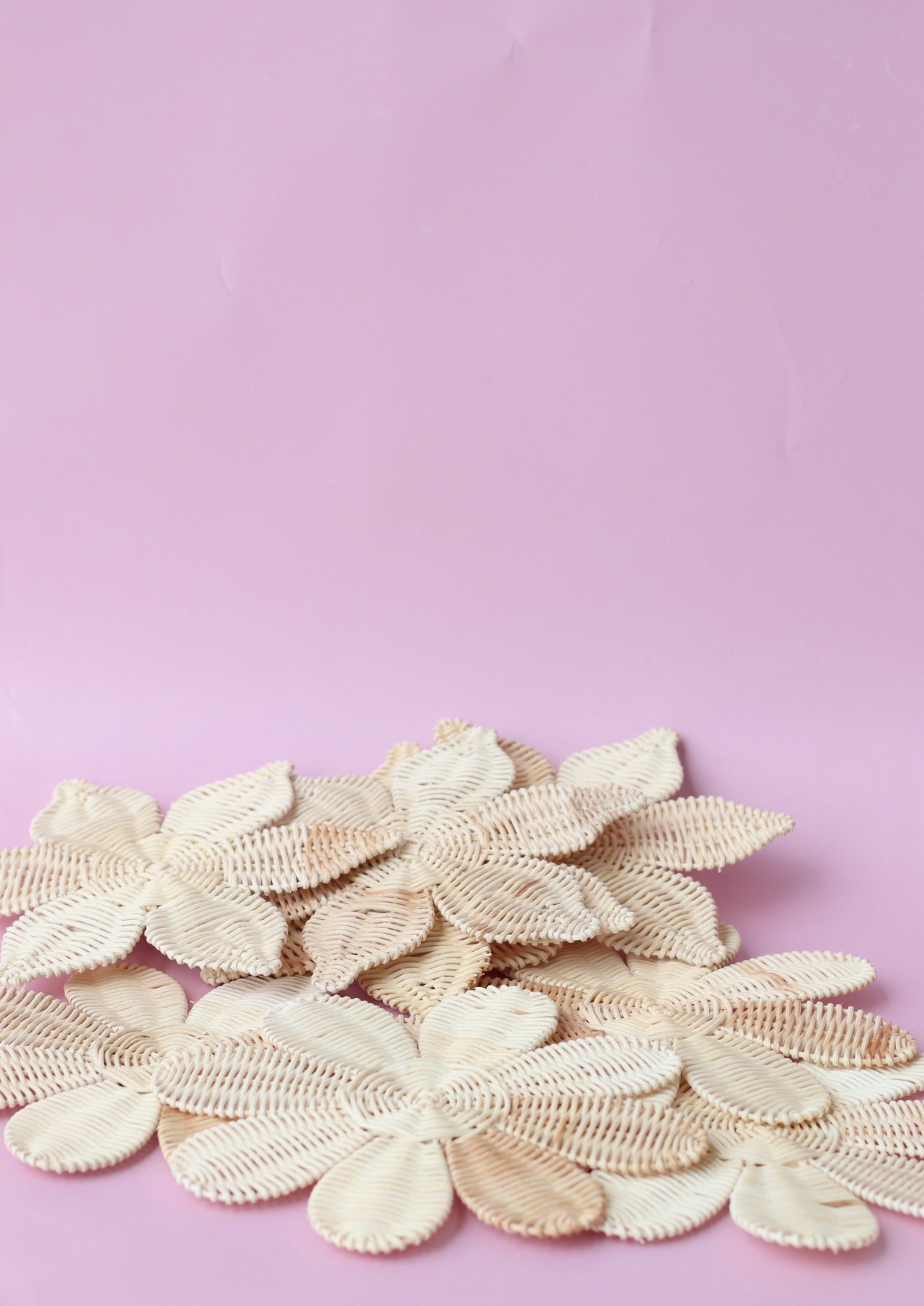 SECONDS WILDFLOWERS 🌼 - SET OF 8 READY TO SHIP