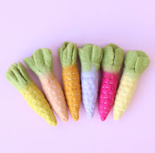 Load image into Gallery viewer, Juni Moon Rainbow heirloom carrots - 6 pce