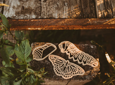 Butterfly life cycle eco cutter set - 3 pce