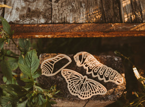 Butterfly life cycle eco cutter set - 3 pce