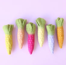 Load image into Gallery viewer, Juni Moon Rainbow heirloom carrots - 6 pce