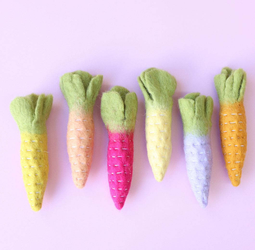 Juni Moon Rainbow heirloom carrots - 6 pce