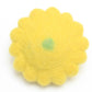 Papoose Squash - 2 pce
