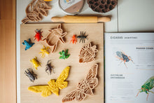 Load image into Gallery viewer, Cicada &amp; Shell Eco Cutter Set