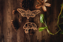 Load image into Gallery viewer, Cicada &amp; Shell Eco Cutter Set