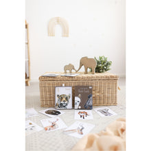 Load image into Gallery viewer, DIAMOND STORAGE TRUNK SET OF TWO AUSTRALIAN ORDERS ONLY